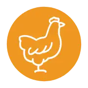 With Chicken Protein