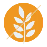 Grain-Free