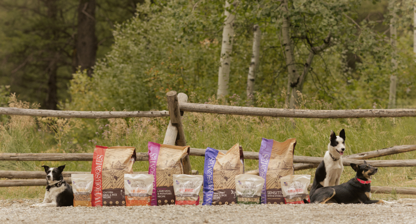 Dog food containing rosemary extract, a safe way to include rosemary in a pet's diet