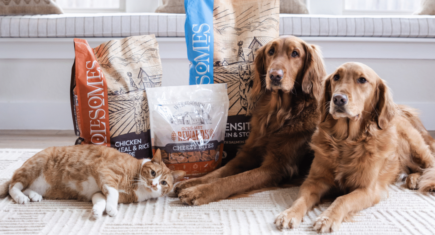 dog and cat sitting with wholesomes pet food