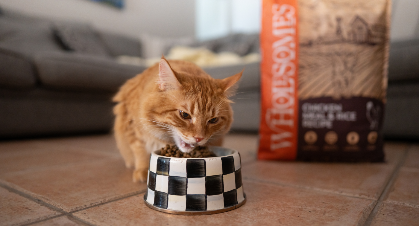 Close-up of chicken meal used in cat food recipes