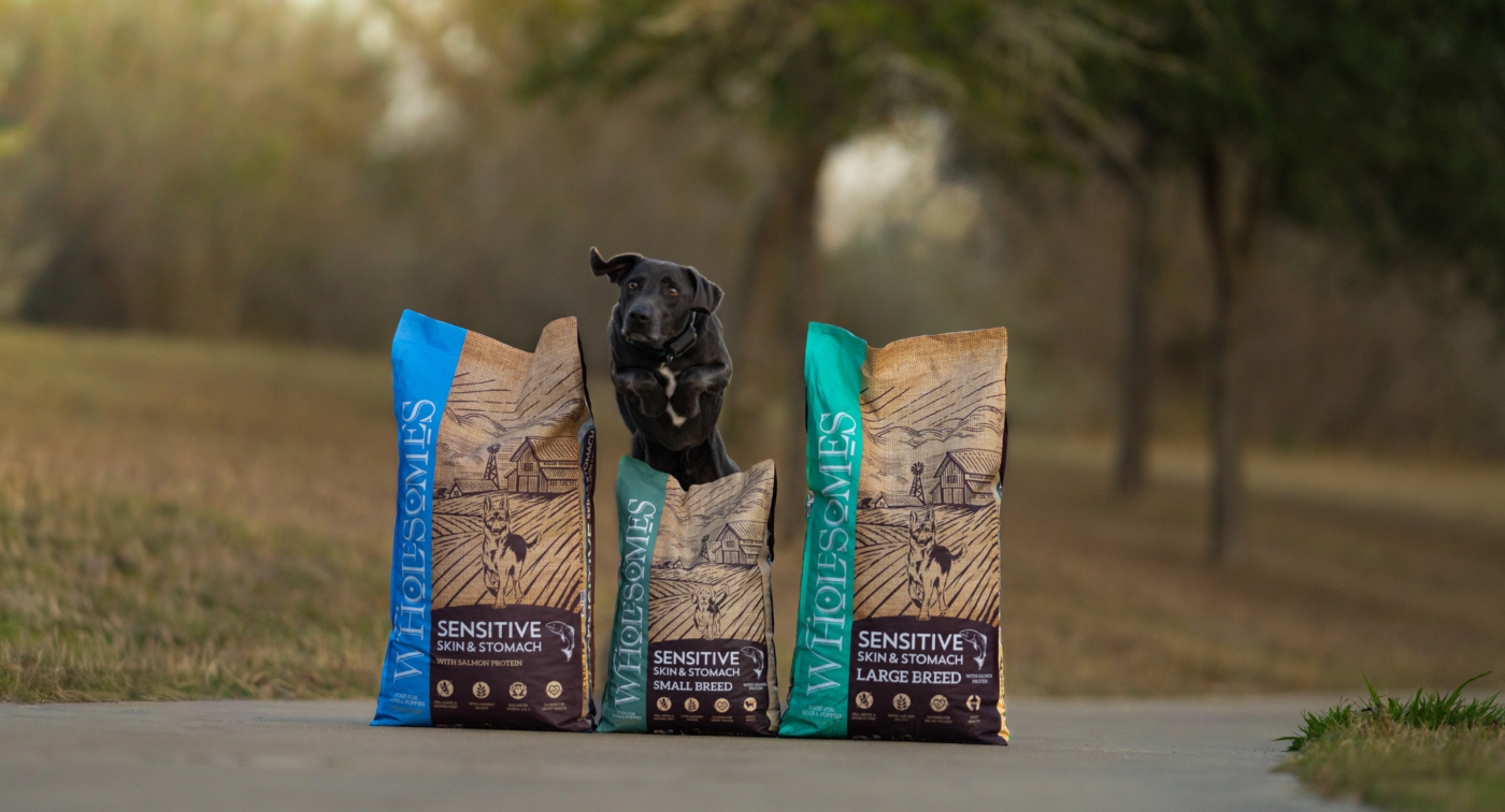 Best protein for dogs with sensitive stomachs like salmon dog food