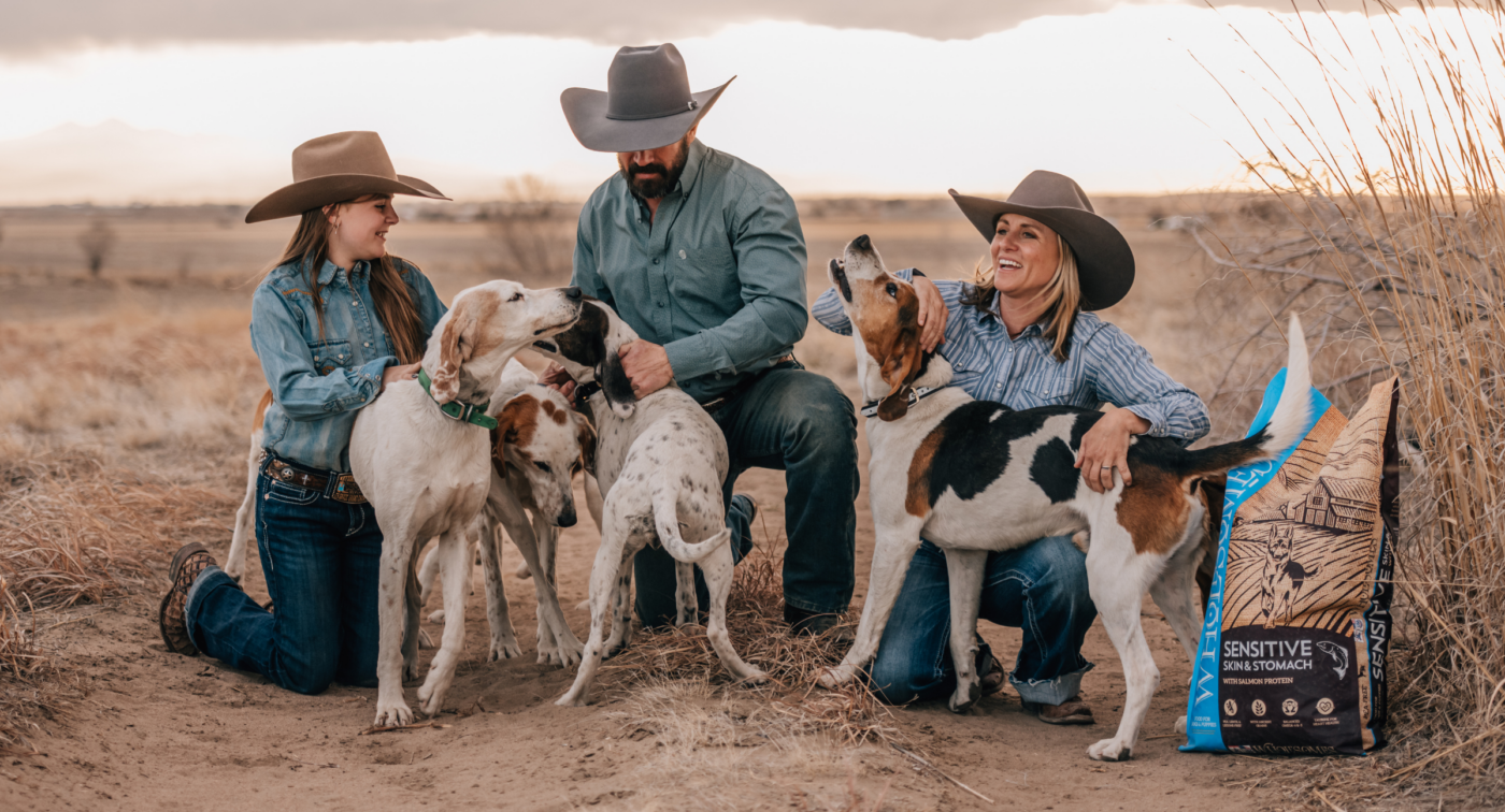 family laughing with dogs 