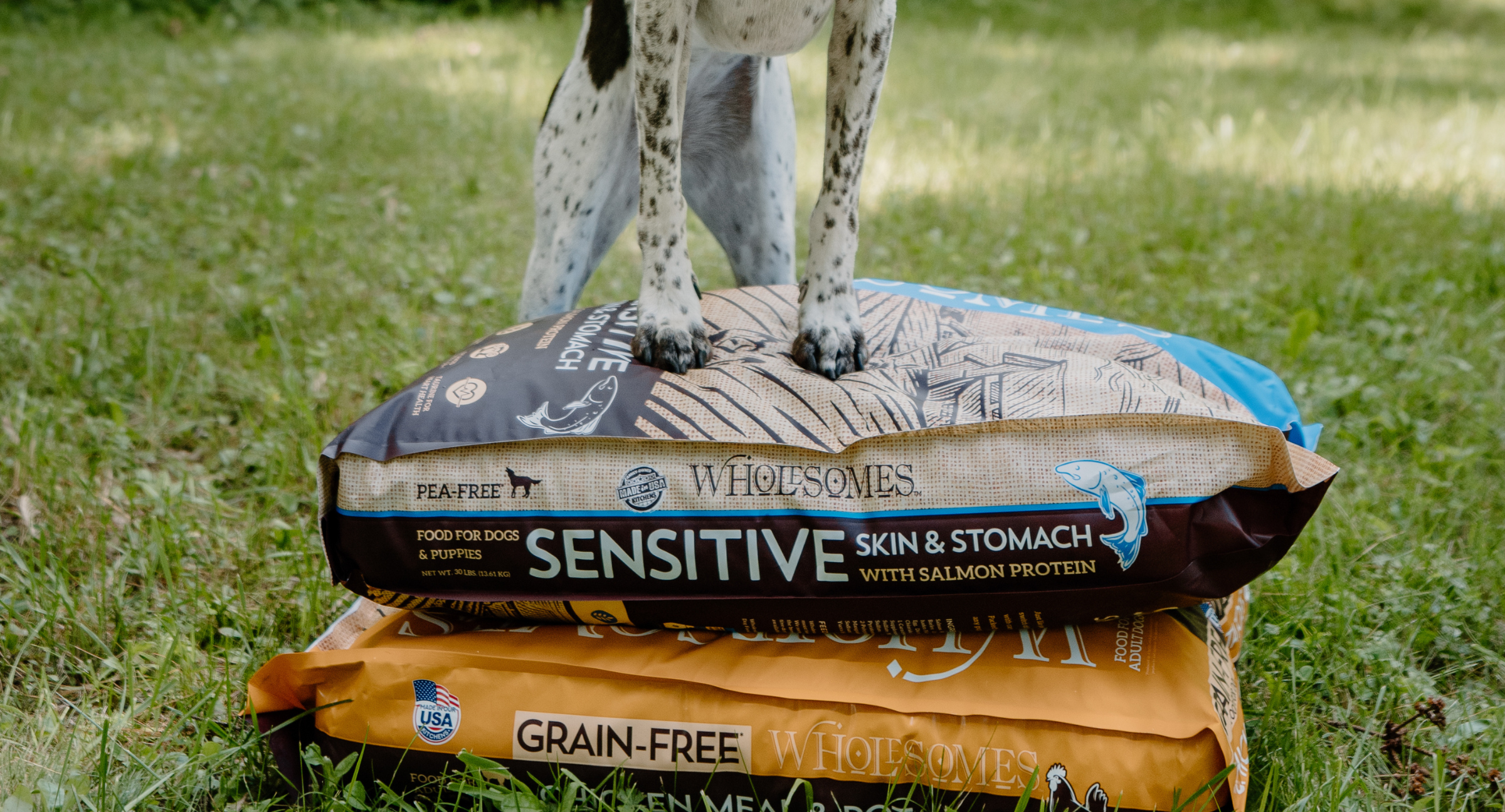 Dog standing on bags of food