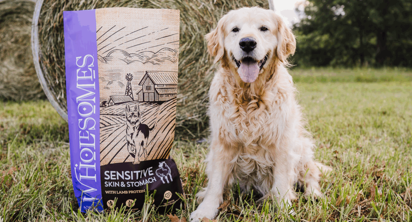 Dog sitting next to bag of dog food