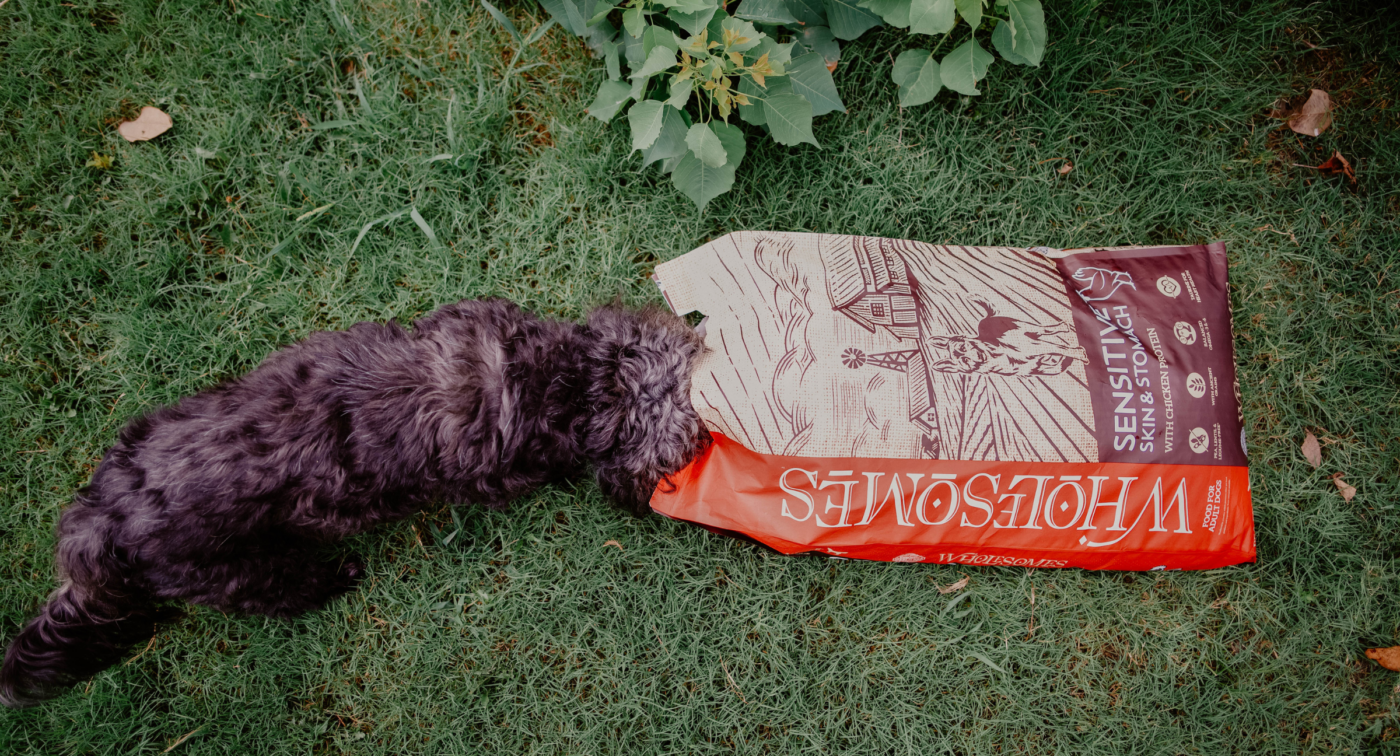 Dog sniffing in a Wholesomes Sensitive Skin and Stomach with chicken protein