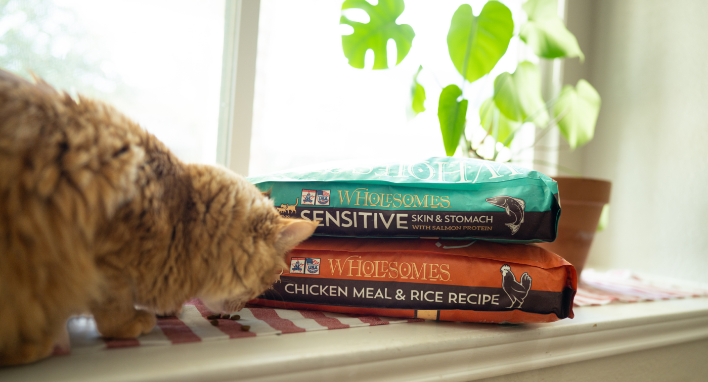 Chicken meal for cats – concentrated protein in cat food