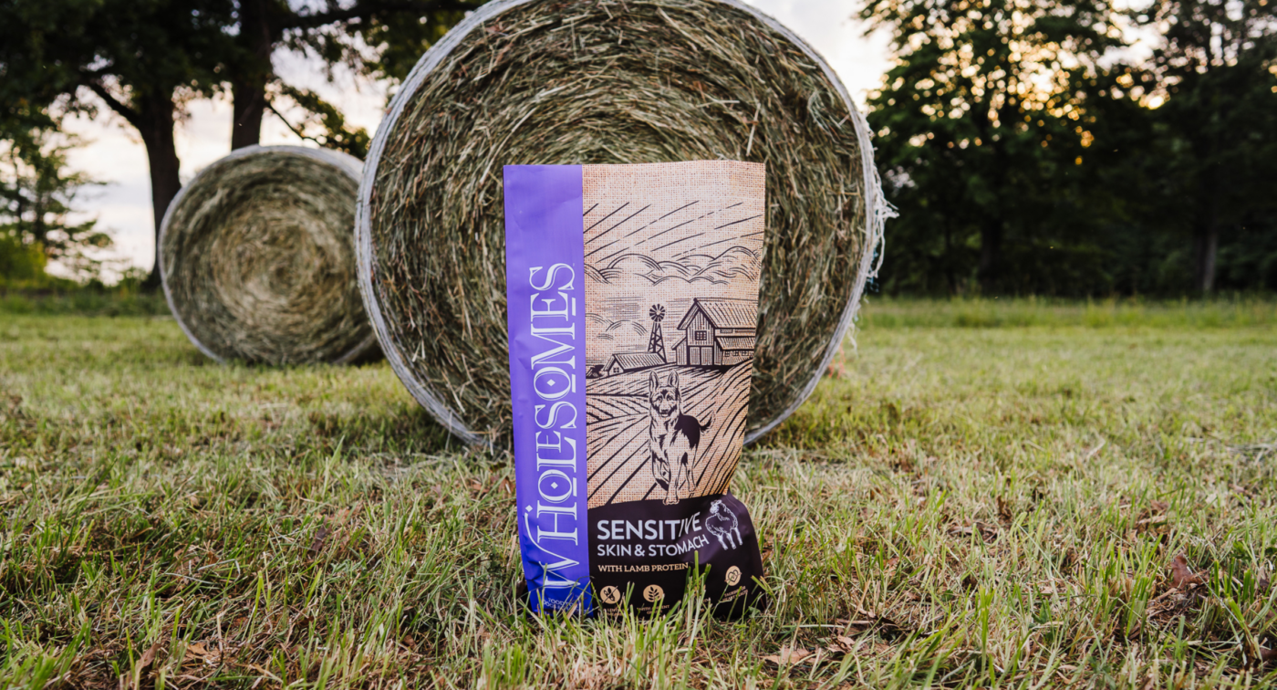 Limited ingredient dog food for sensitive stomachs and digestion