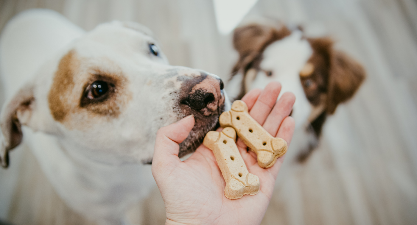 Two dogs with wholesomes large original treats