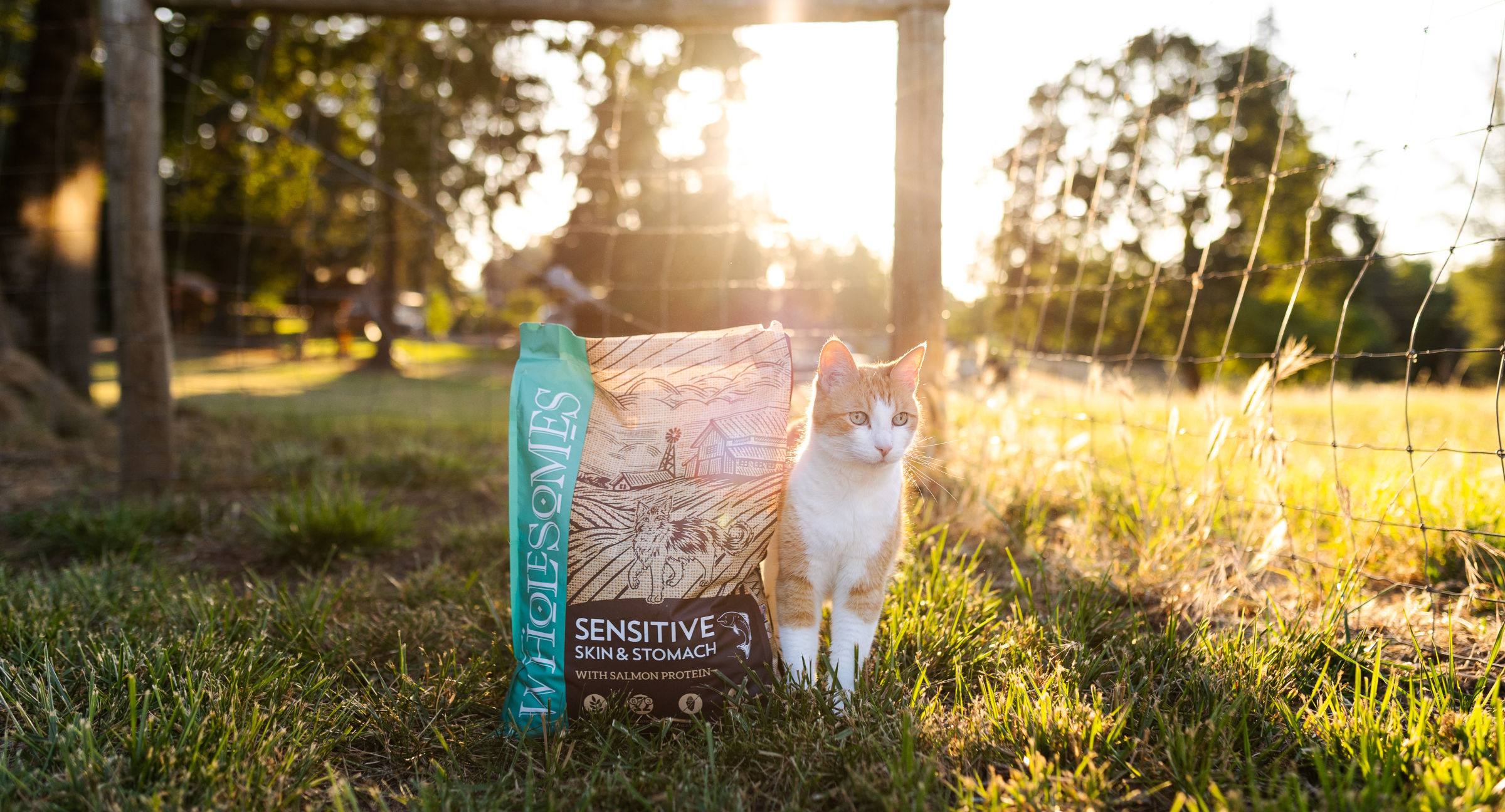 Cat beside bag of Wholesomes Sensitive Cat Food with Salmon Protein