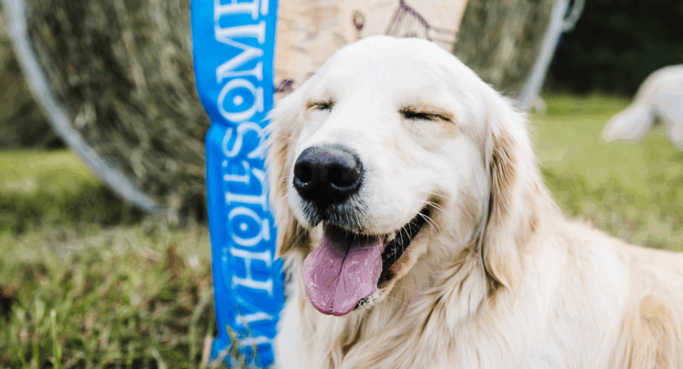 Dog smiling with bag of dog food behind them