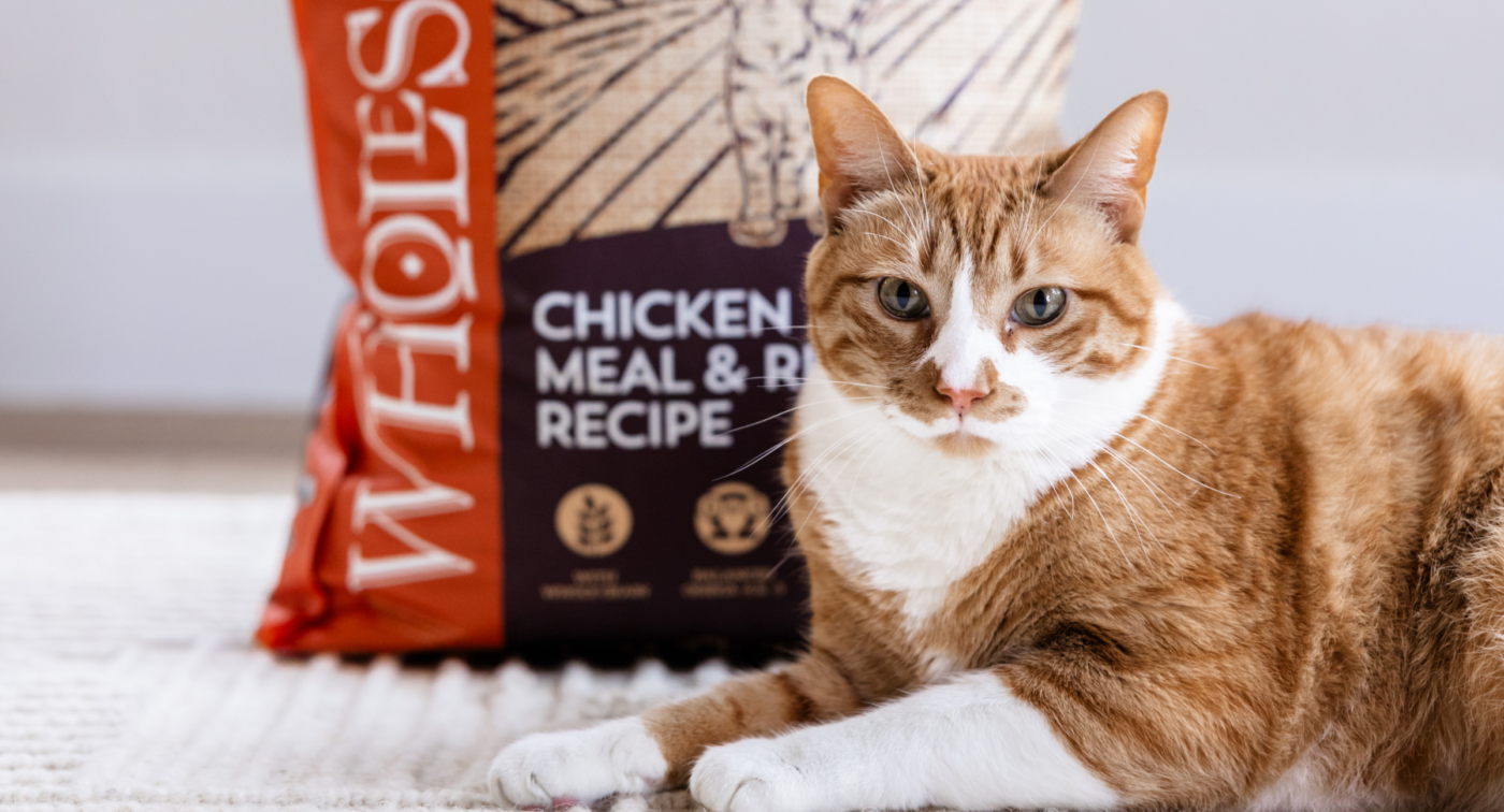 Chicken meal for cats – concentrated protein in cat food
