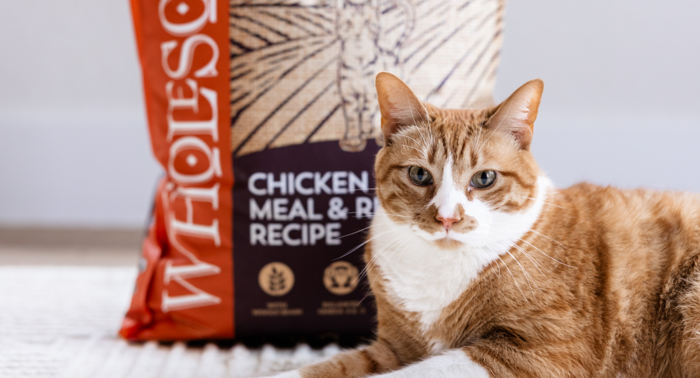 cat sitting next to wholesomes pet food