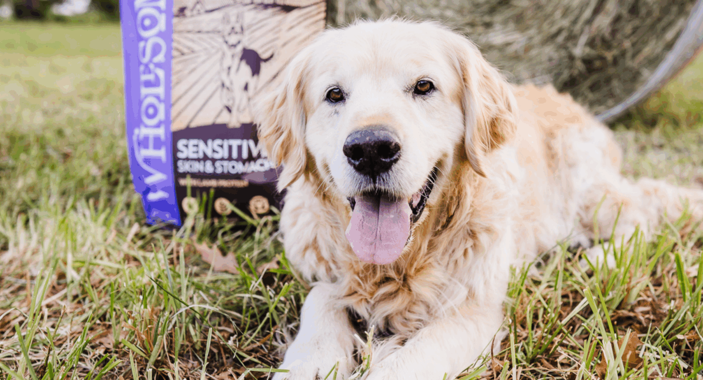 Dog smiling next to bag of dog food