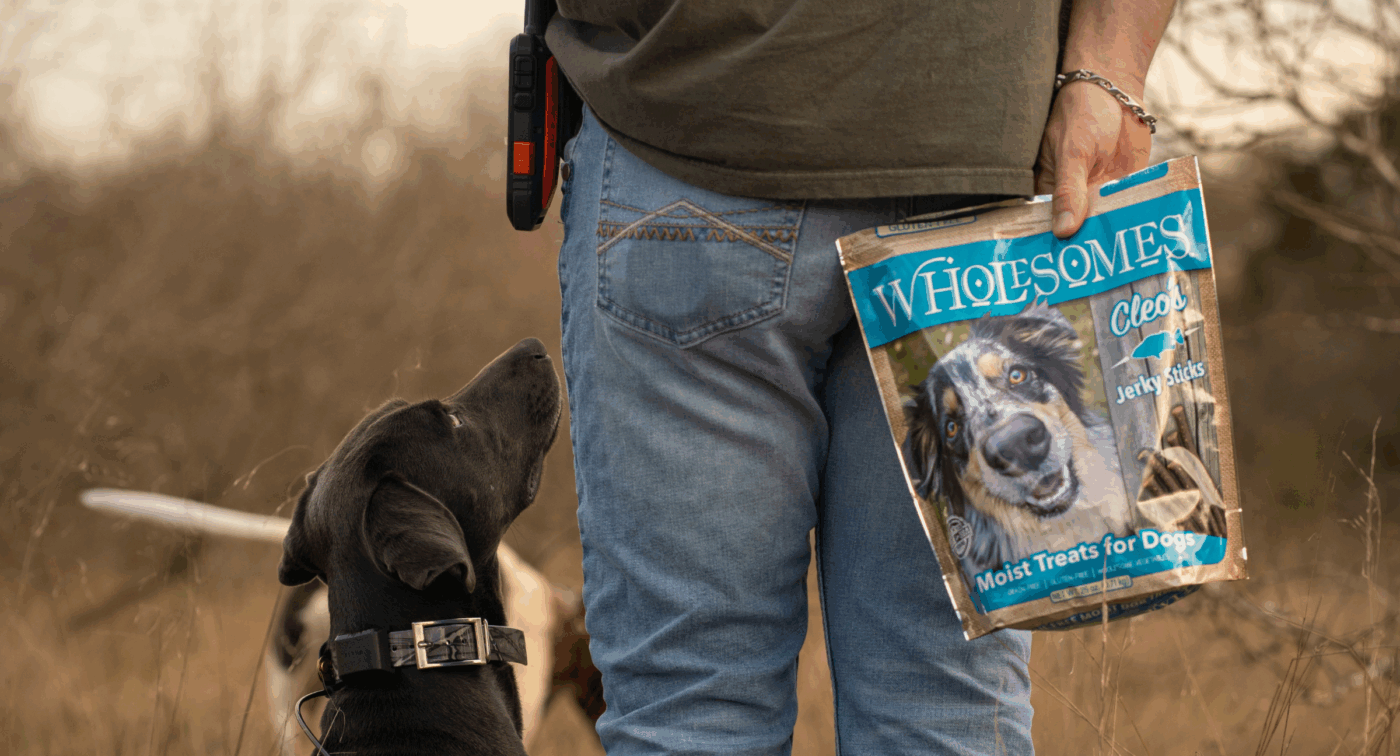 dog look at person as they hold bag of treats