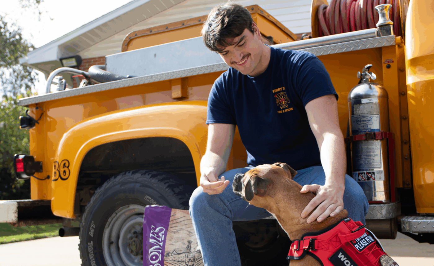Man pets dog wearing vest