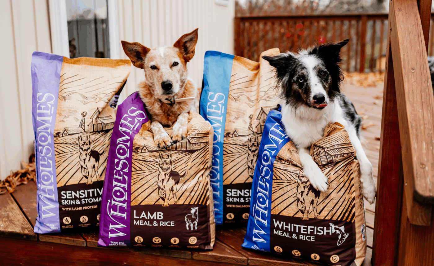 two dogs on top of wholesomes food bags