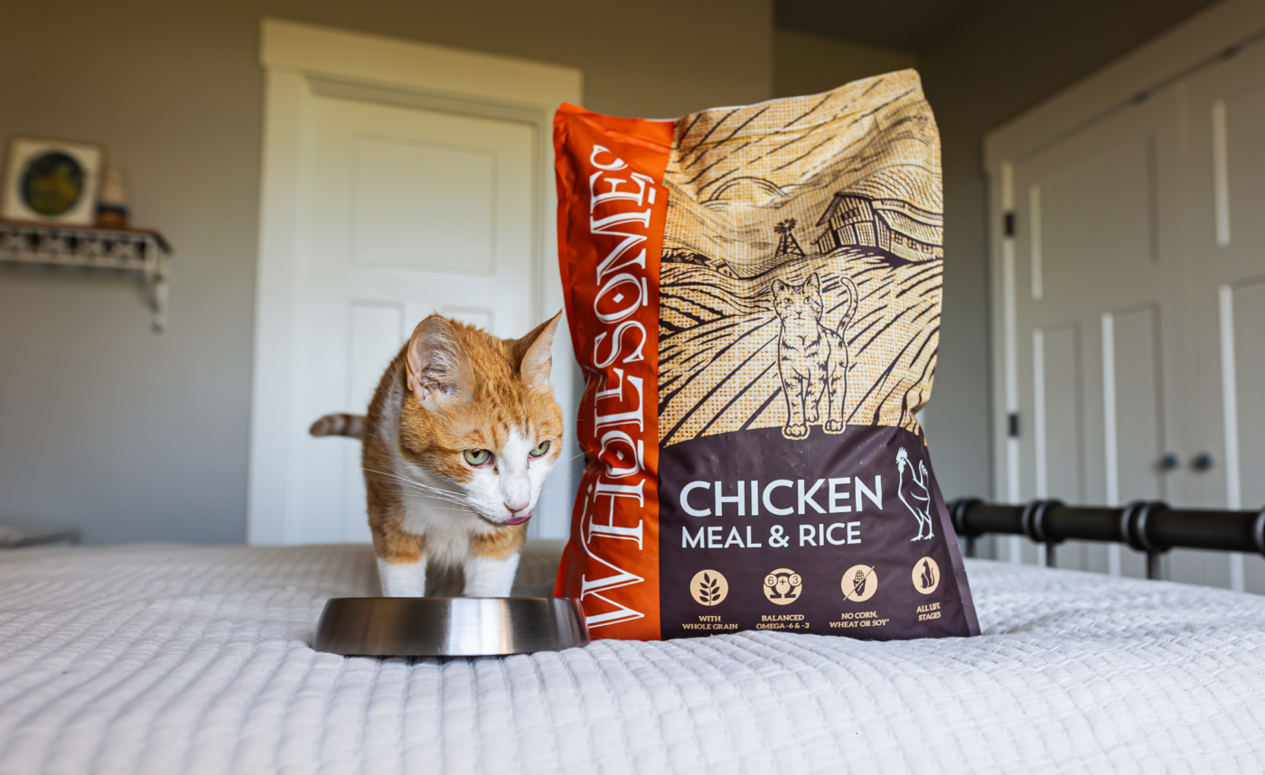 Chicken meal for cats – concentrated protein in cat food