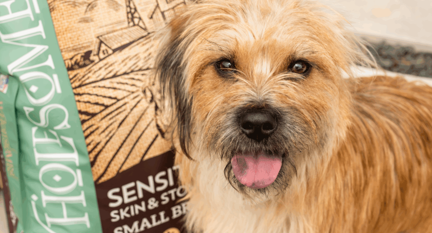 Dog smiles beside bag of sensitive skin and stomach dog food